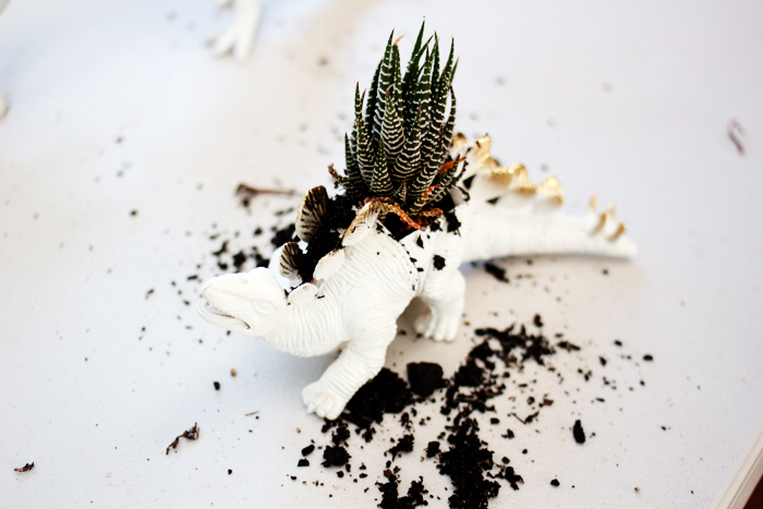 DIY: Dinosaur Planters by www.highwallsblog.com